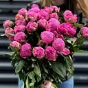 23 розовых пиона