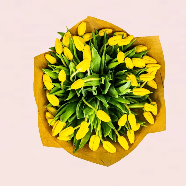 51 жёлтый тюльпан