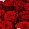 53 красных роз (60 см)