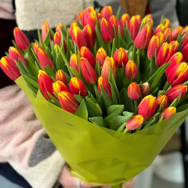 69 красно-жёлтых тюльпанов