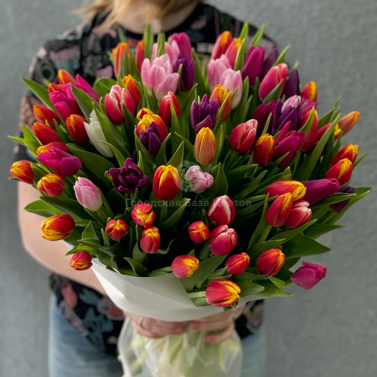 85 тюльпанов микс фото №2 85 тюльпанов микс