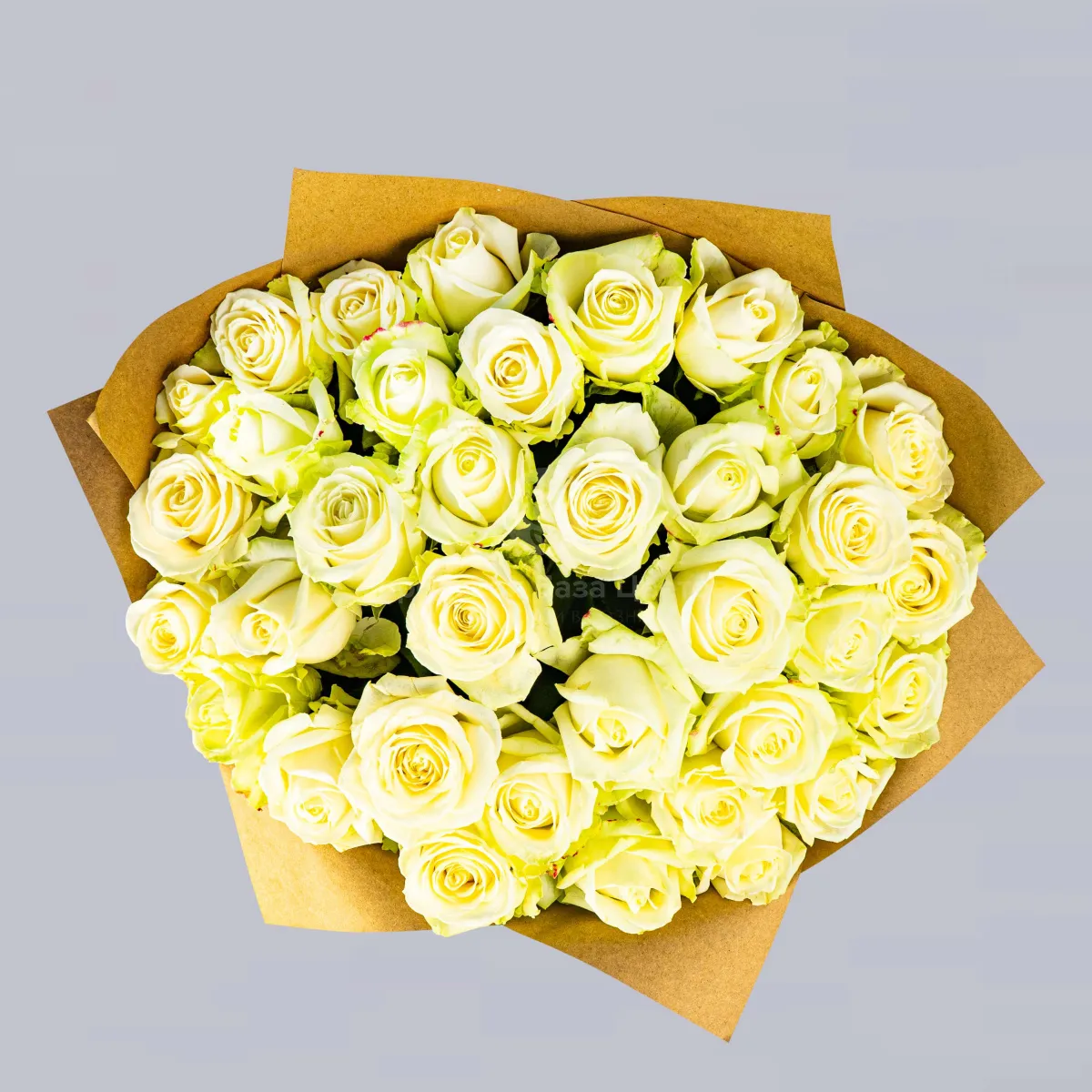 25 бело-зеленых роз (60 см)