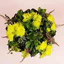 Букет из жёлтых кустовых хризантем