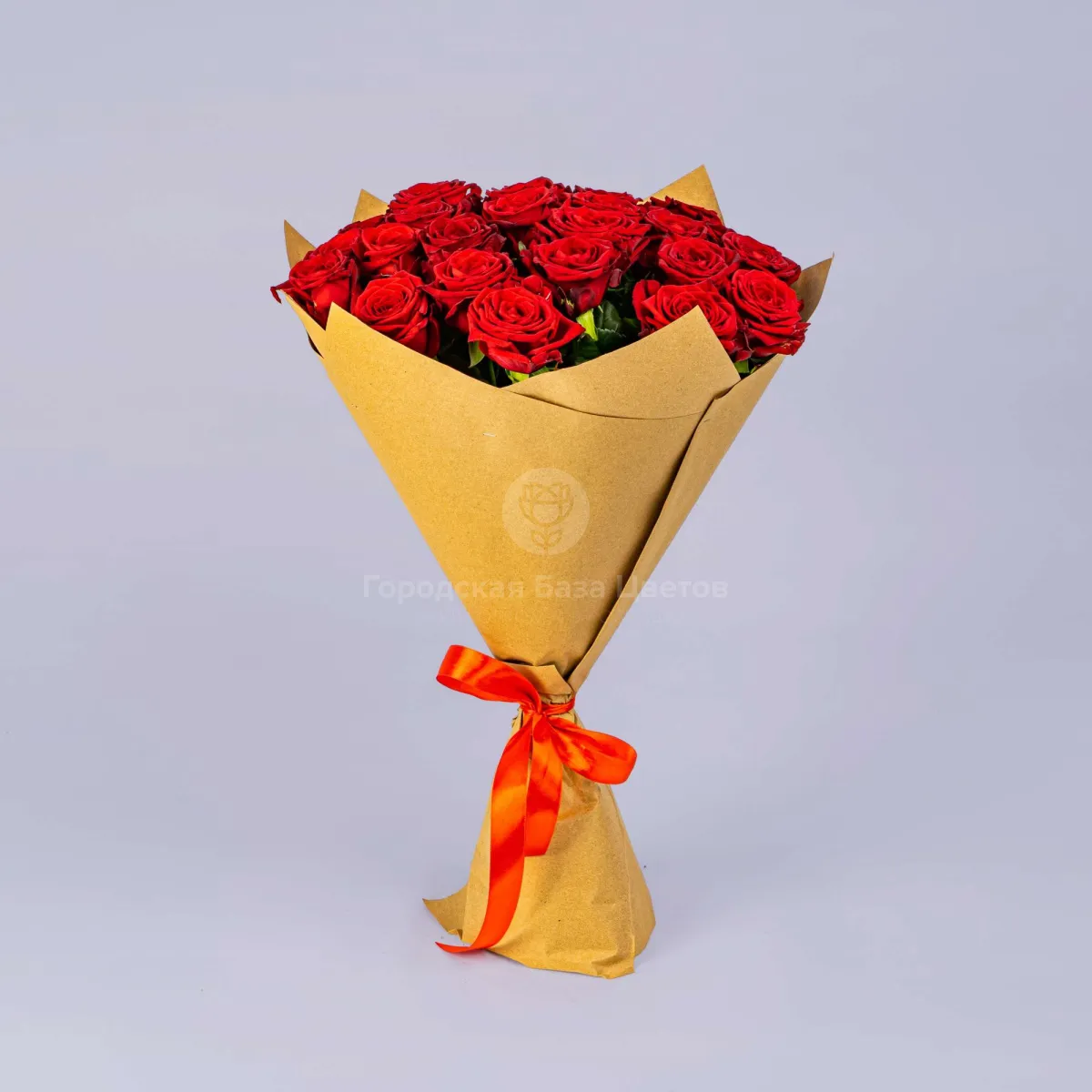 23 красных роз (50 см)
