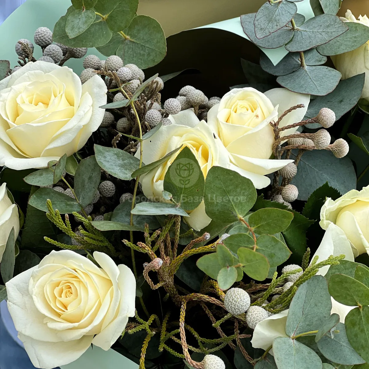 Букет из 9 белых роз и брунии