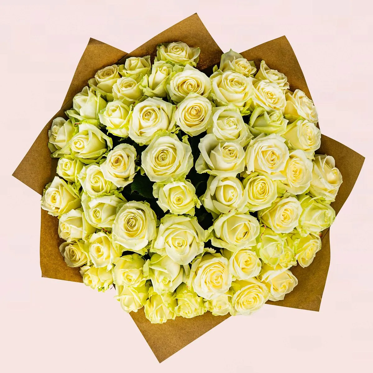 59 бело-зеленых роз (60 см)