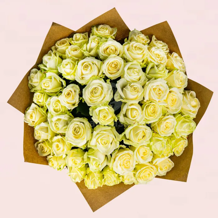 65 бело-зеленых роз (70 см)