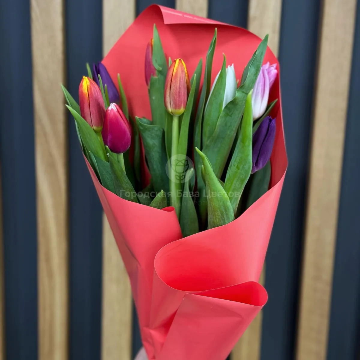 9 тюльпанов (5 букетов) фото №1 9 тюльпанов (5 букетов)