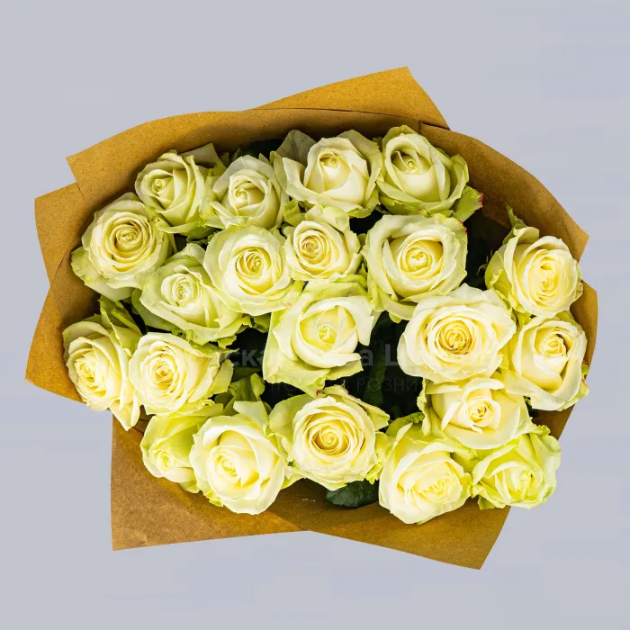 17 бело-зеленых роз (50 см)