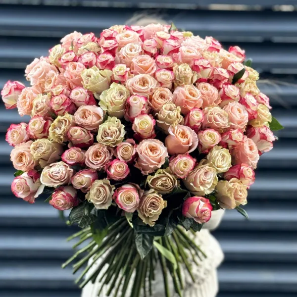Букет 101 бело-розовая роза эквадор (70см)