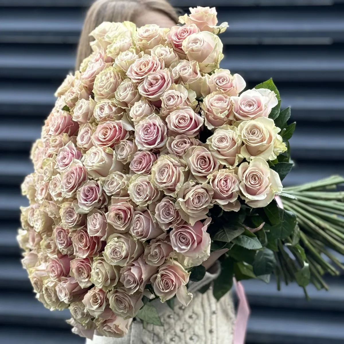 Букет 101 кремово-розовых роз эквадор (70см)