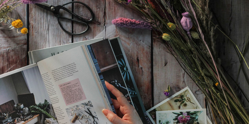 Как сделать сухоцветы из цветов Как сделать сухоцветы из цветов