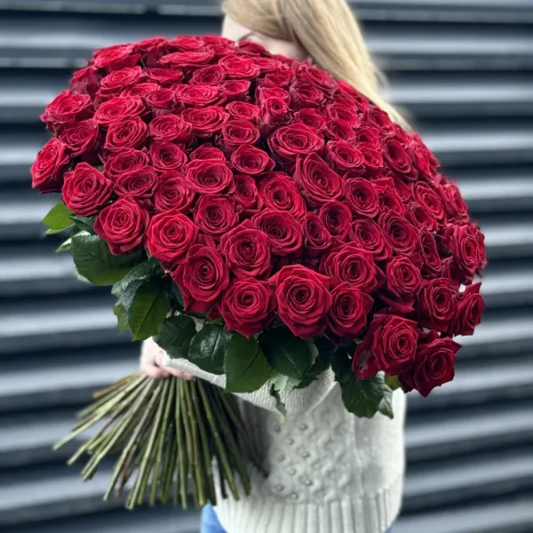 Букет 101 красная роза эквадор (70см)