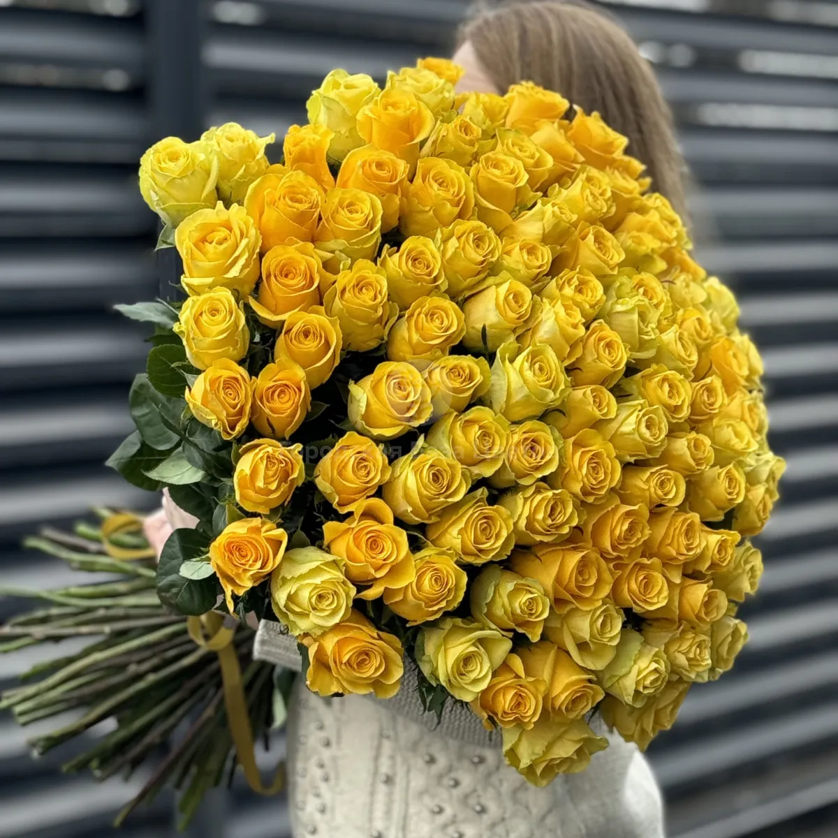Букет 101 желтая роза эквадор (70см)