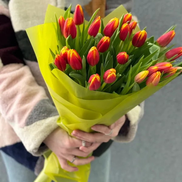 29 красно-жёлтых тюльпанов