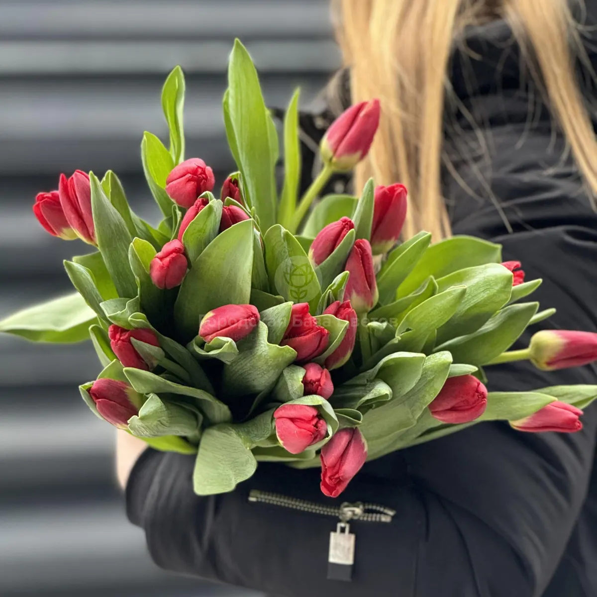 27 красных тюльпанов