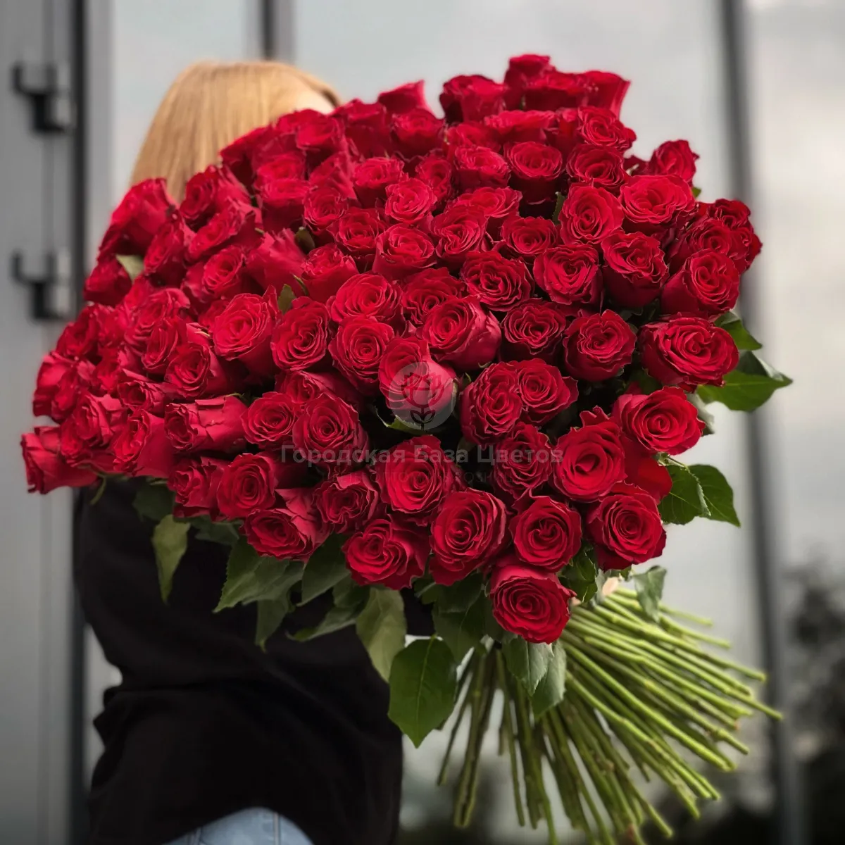 93 красные розы (70 см)