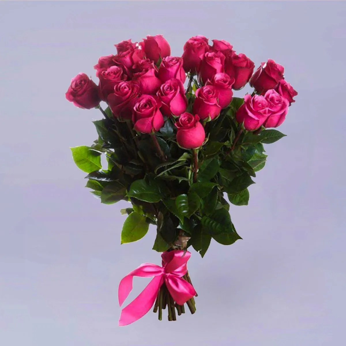 23 ярко-розовые розы (70 см)
