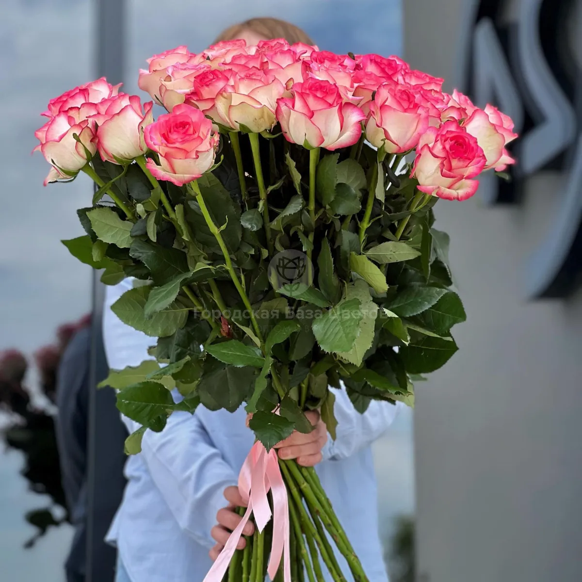 41 бело-розовыя роза (60 см)