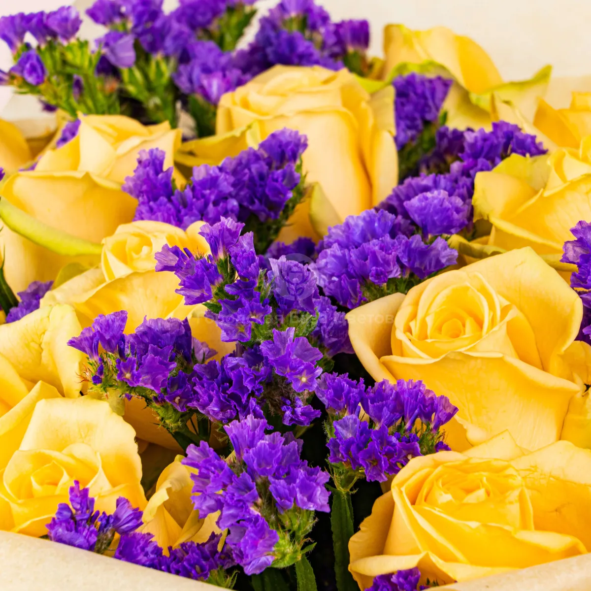 Букет из жёлтых роз и статицы фото №5 Букет из жёлтых роз и статицы