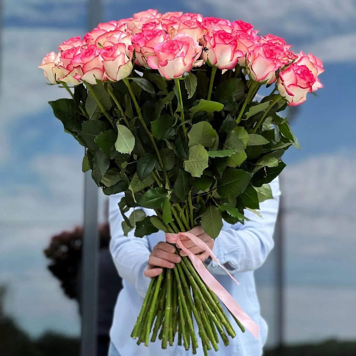 65 бело-розовых роз (70 см)