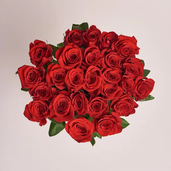 25 красных роз (80 см)