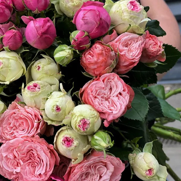17 бело-розовых кустовых роз