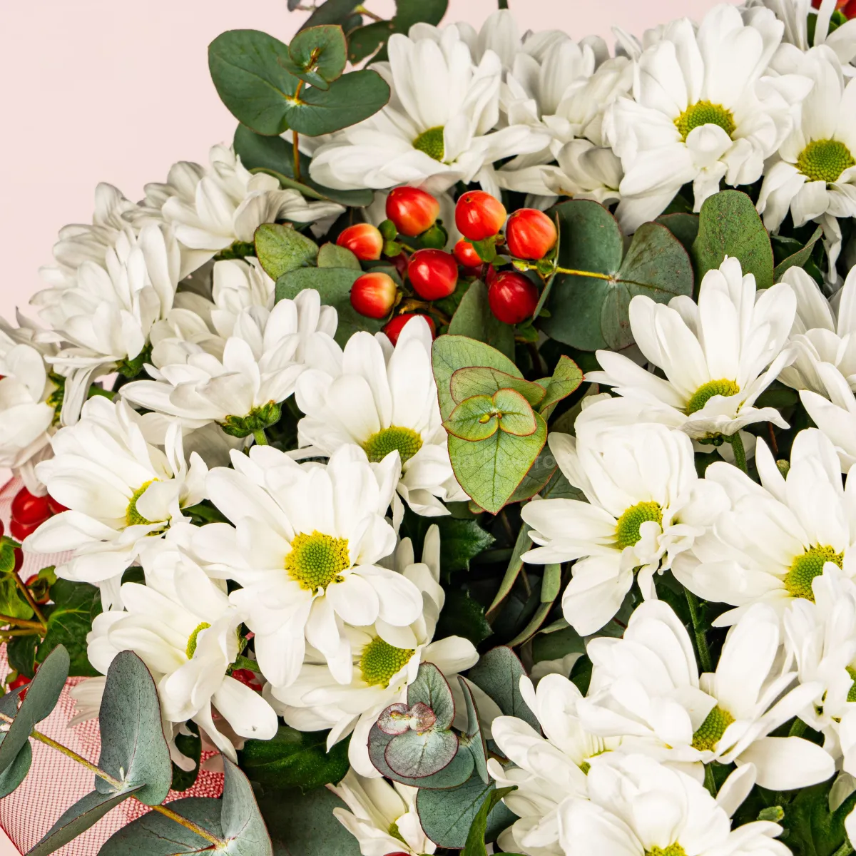 15 белых хризантем и гиперикум
