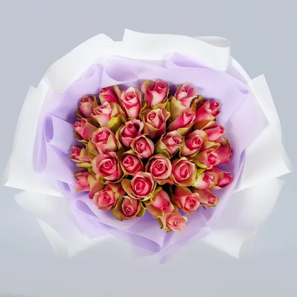 35 розово-зеленых роз (50 см)