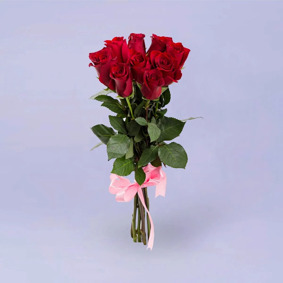 9 красных роз (60 см)