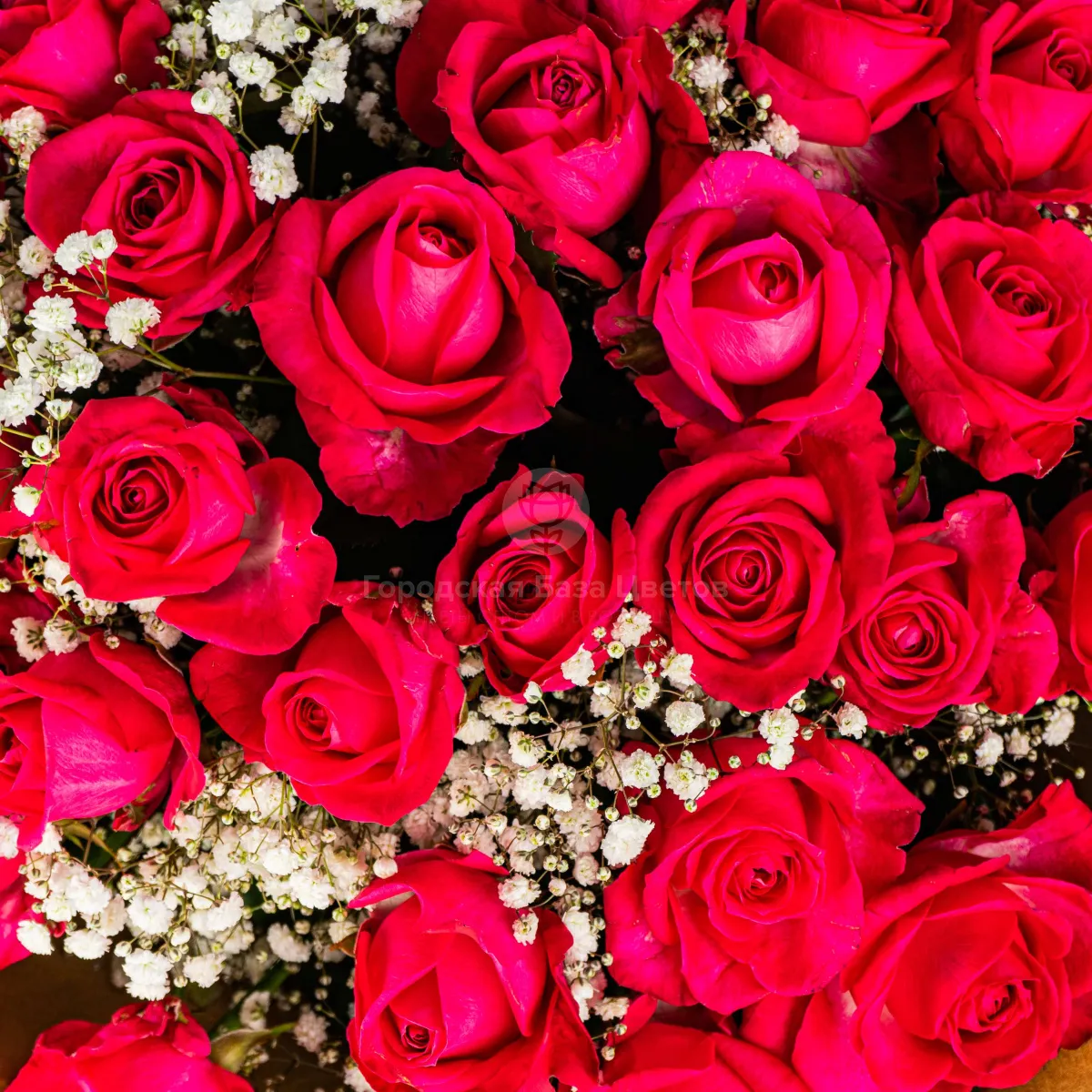 Букет из красных роз и гипсофилы фото №5 Букет из красных роз и гипсофилы