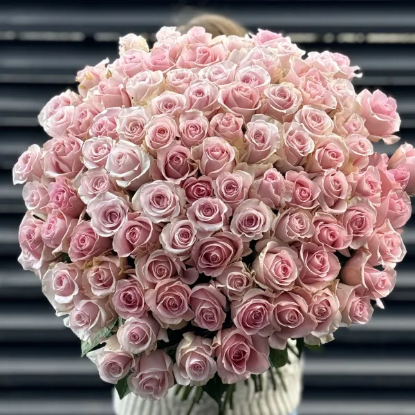 Букет 101 нежно-розовая роза эквадор (60см)