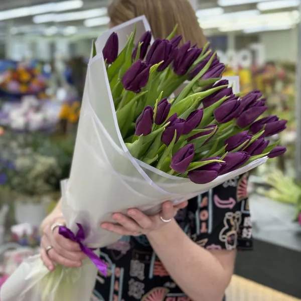 27 бордово-фиолетовых тюльпанов