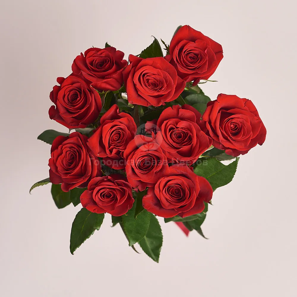 39 красных роз (60 см)