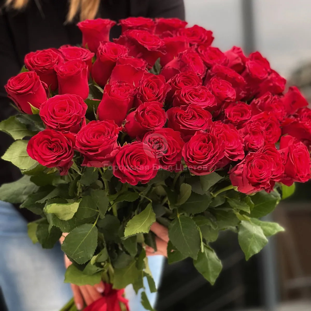73 красных роз (60 см)