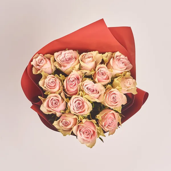 15 бело-розовых роз (50 см)
