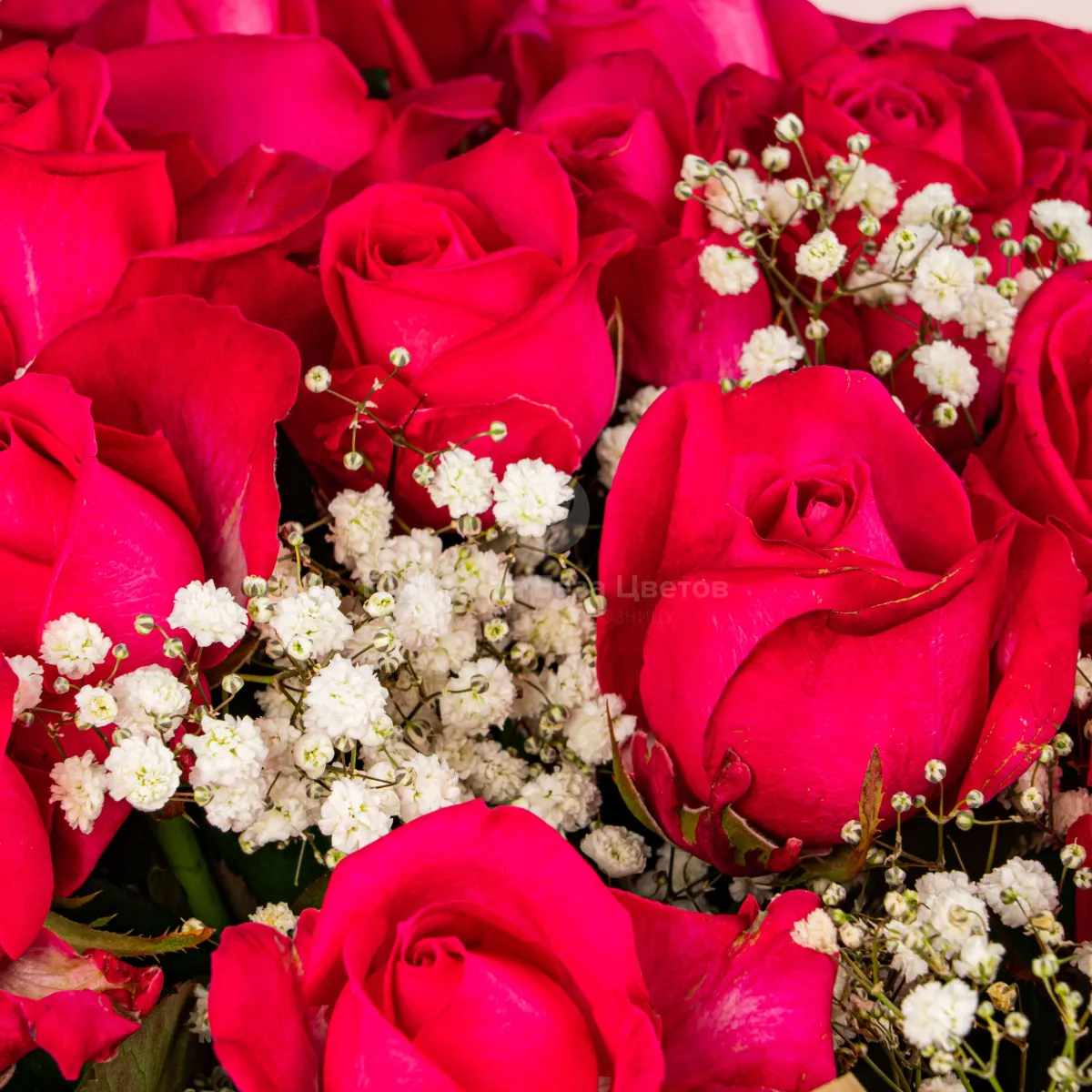 Букет из красных роз и гипсофилы фото №3 Букет из красных роз и гипсофилы